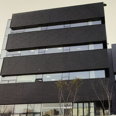 Modern Comité van het de Venstersaluminium van het Voorgevellint het Glaskader voor de Bouw